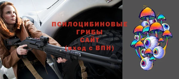 дурь Алексеевка