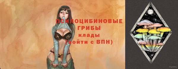 дурь Алексеевка