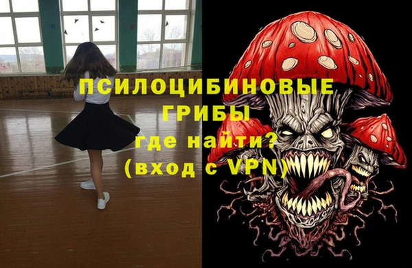 spice Алексин