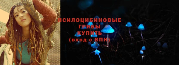 spice Алексин
