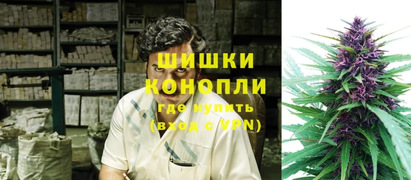 дурь Рославль