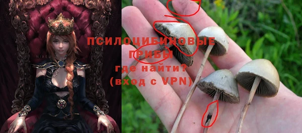 дурь Алексеевка
