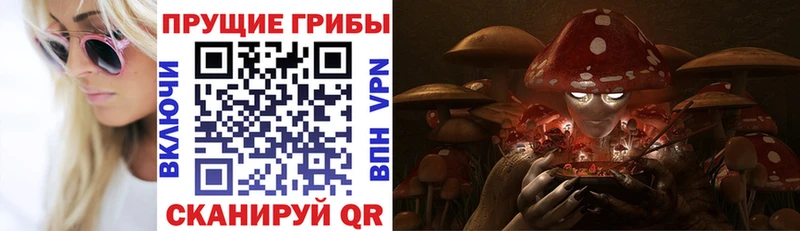 Галлюциногенные грибы GOLDEN TEACHER  где найти наркотики  Пикалёво 
